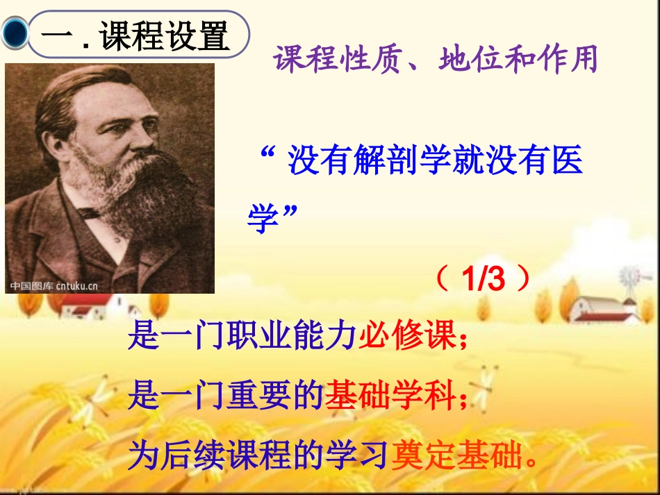 解剖学基础说课_第3页