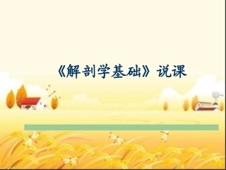 解剖学基础说课