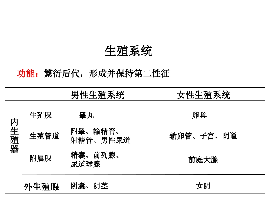 解剖学男性生殖系统_第2页