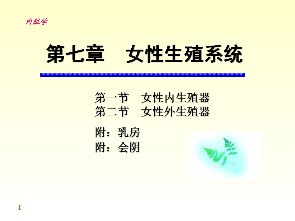 解剖学女性生殖系统_第1页