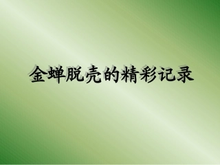 金蝉脱壳的全过程