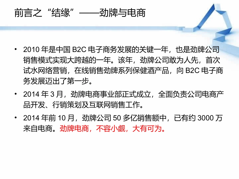 劲牌电商数据分析报告_第2页