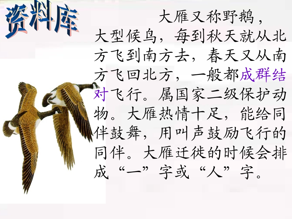 惊弓之鸟课件_第2页