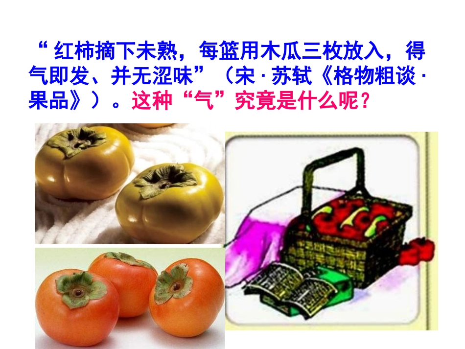 精品课件植物激素的概念_第3页