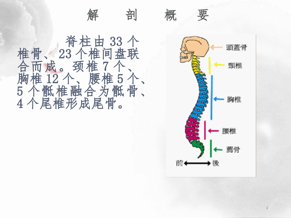 颈椎病的护理优质课件_第2页