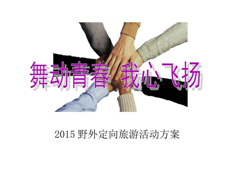 景区定向活动策划方案_第1页