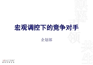 竞争对手研究报告