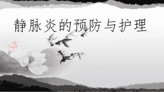 静脉炎的护理课件