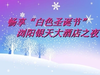 酒店圣诞晚会策划方案