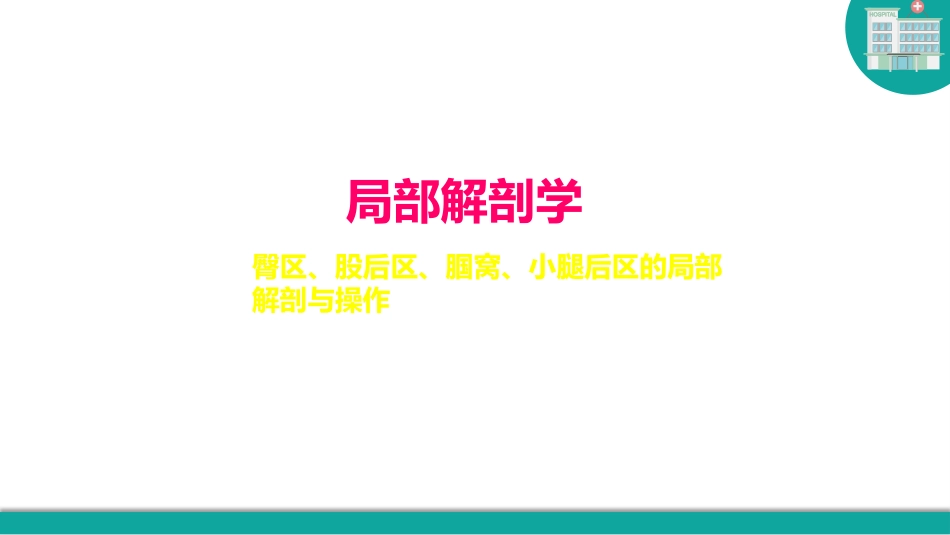 局部解剖学系列课程局部解剖学_第2页
