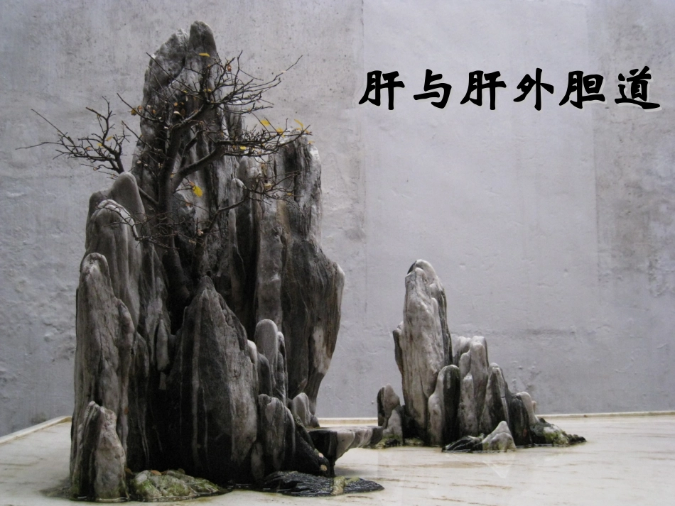 局解肝与肝外胆道_第1页