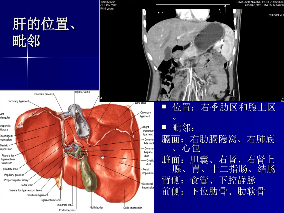 局解肝与肝外胆道_第3页