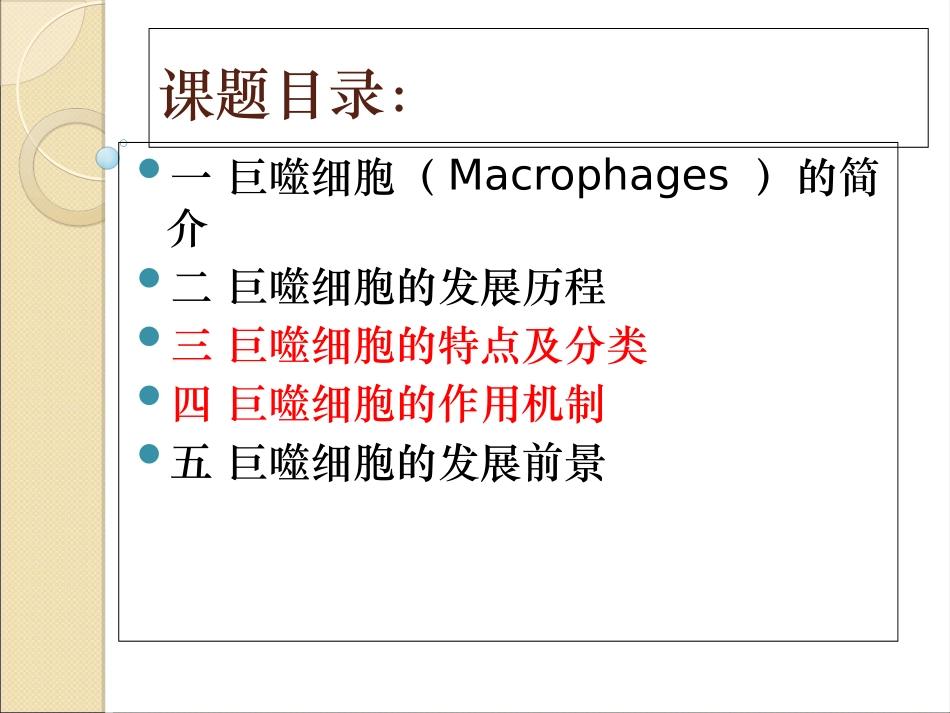 巨噬细胞精选_第2页