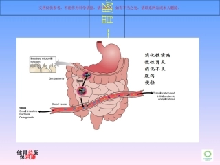 菌群失调胃肠道疾病课件