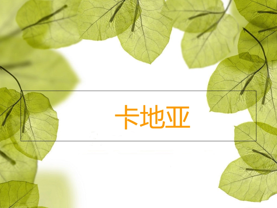 卡地亚研究分析报告_第1页