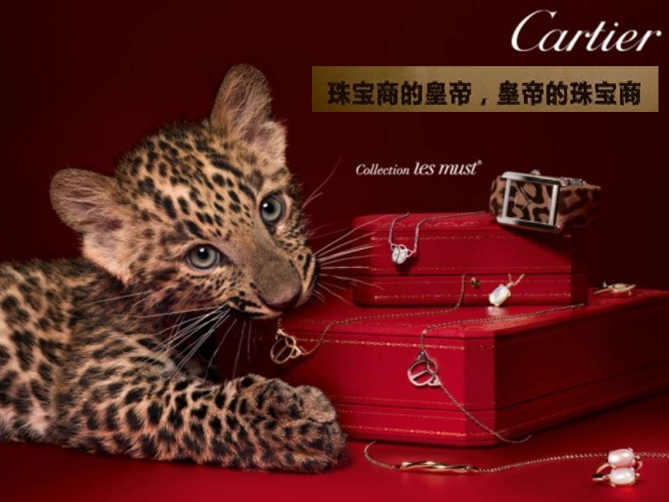 卡地亚研究分析报告_第2页