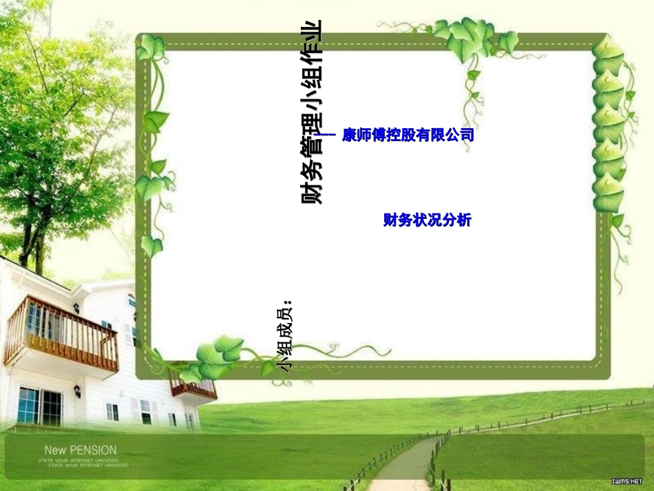 康师傅财务分析报告_第1页