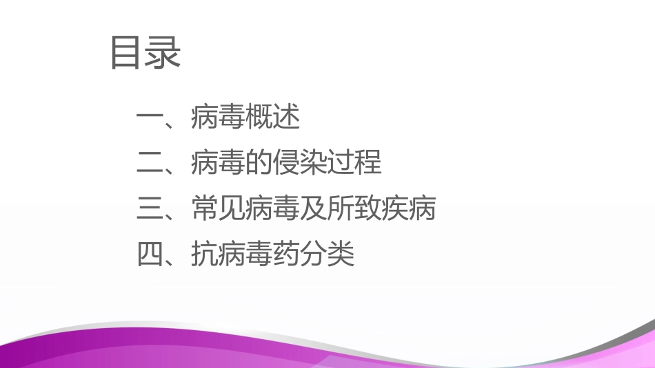 抗病毒药物简介优质课件_第2页