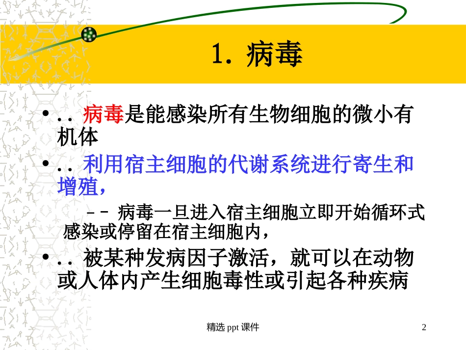 抗病毒药物课件课件_第2页