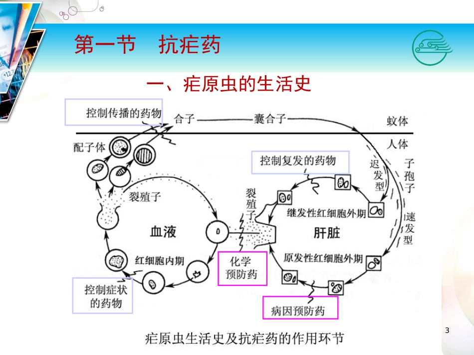 抗寄生虫病药_第3页