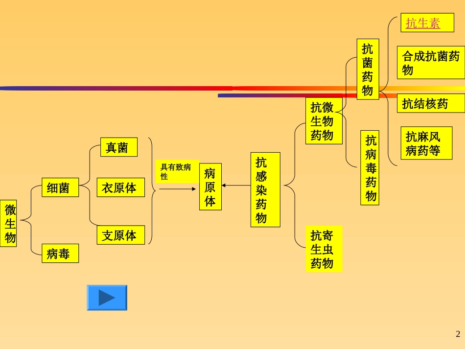 抗生素基础知识培训资料_第2页