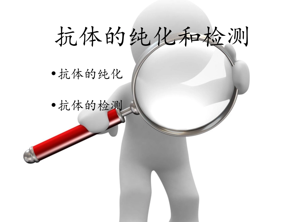 抗体的纯化与检测详细版_第1页