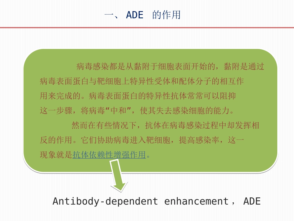 抗体依赖性增强作用机制_第3页