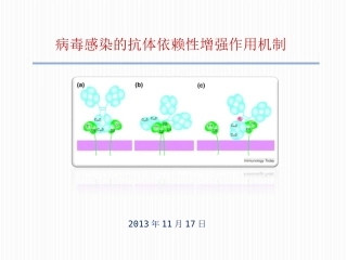 抗体依赖性增强作用机制