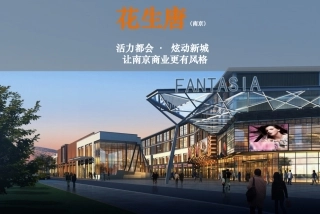 考察报告花生唐