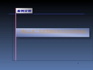可行性研究案例分析