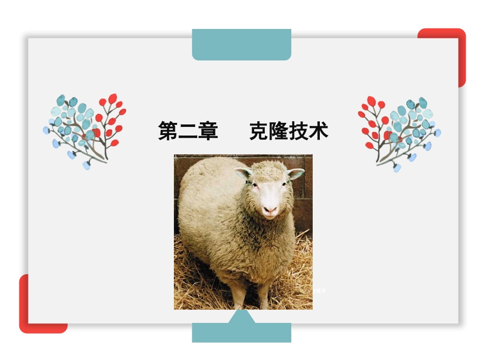 克隆技术课件_第1页