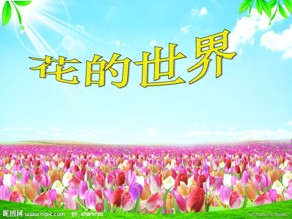 课件花的世界_第1页