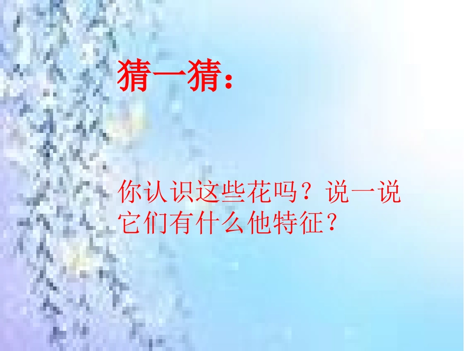 课件花的世界_第2页