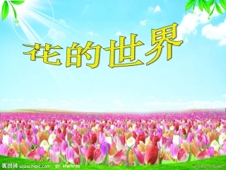 课件花的世界