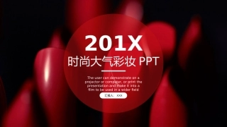 口红分析报告