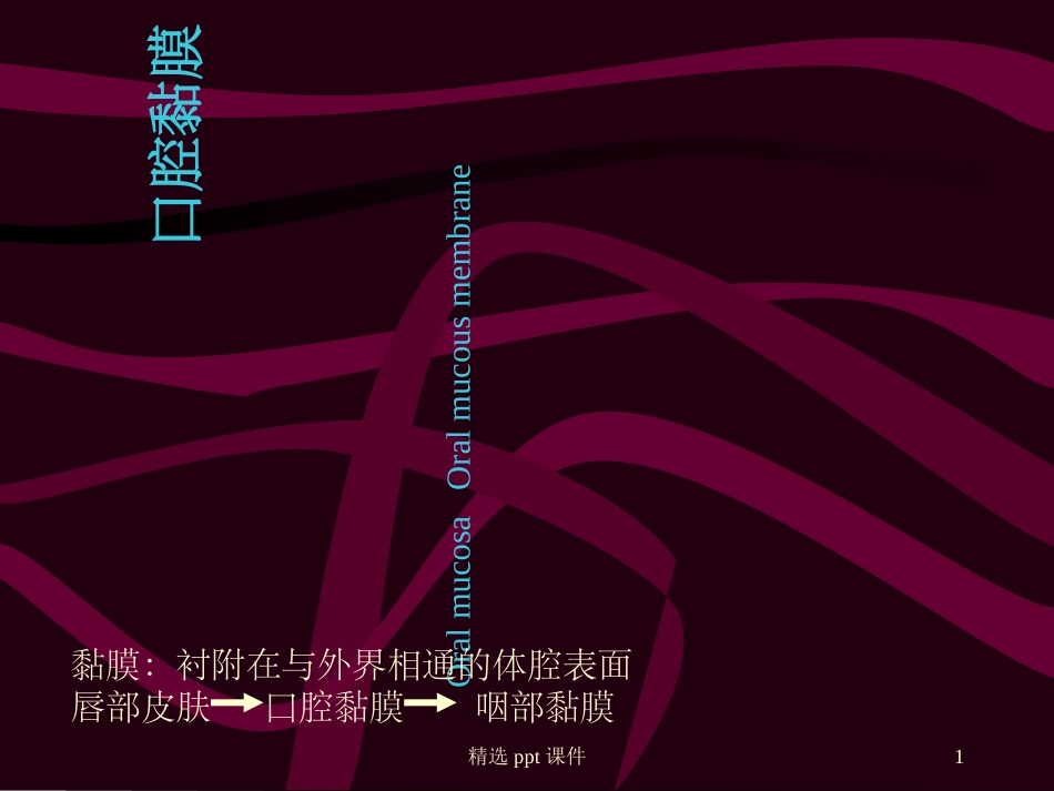 口腔黏膜课件课件_第1页