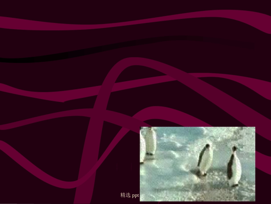 口腔黏膜课件课件_第3页