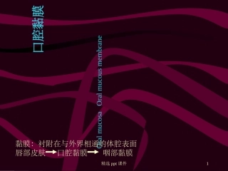 口腔黏膜课件课件