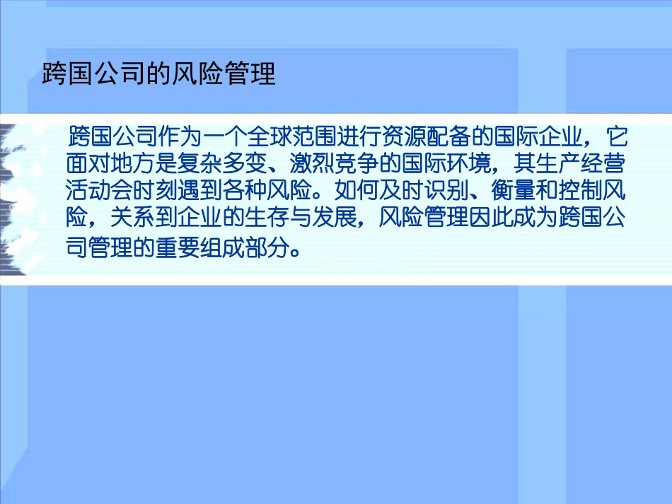 跨国公司的风险管理_第2页