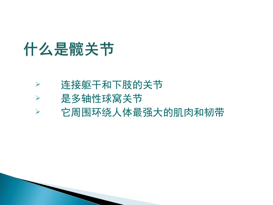 髋关节解剖学_第2页