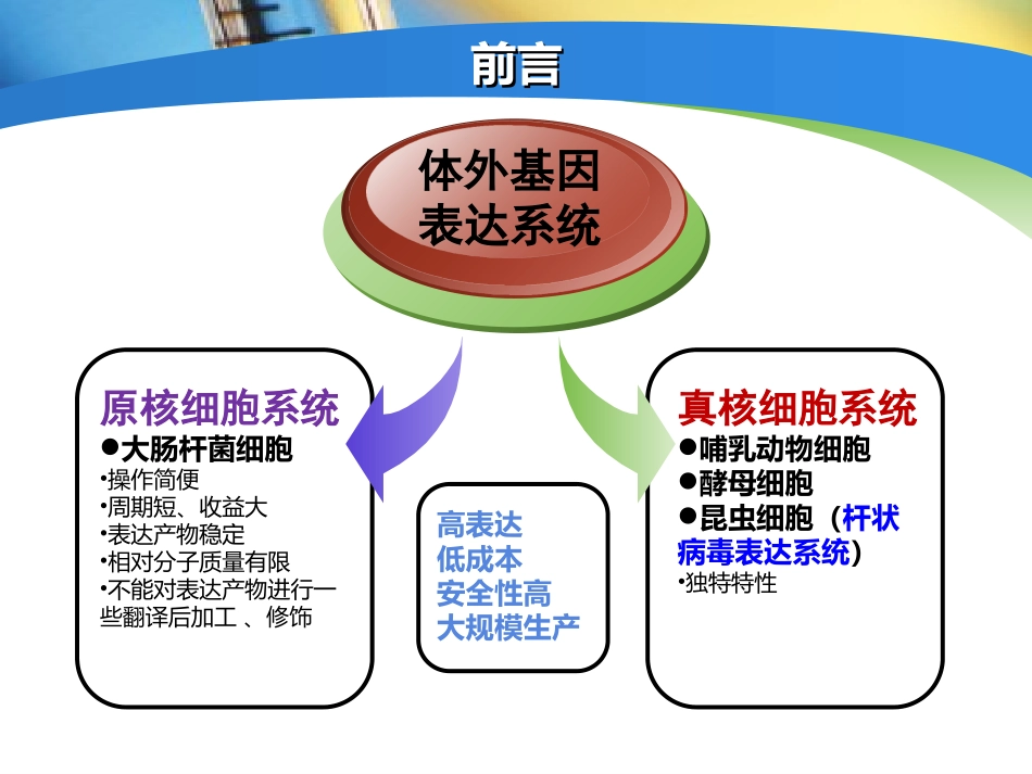 昆虫杆状病毒载体研究_第2页