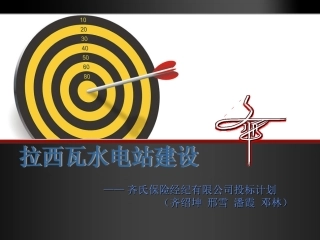 拉西瓦水电站保险经纪公司投标书