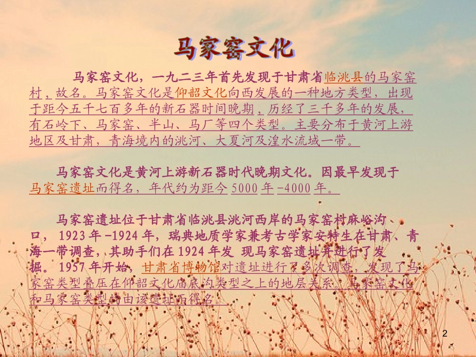 来自远古时代的呼唤之马家窑文化课件_第2页