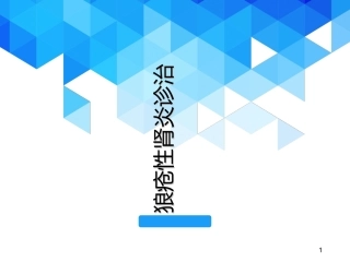狼疮性肾炎医学课件