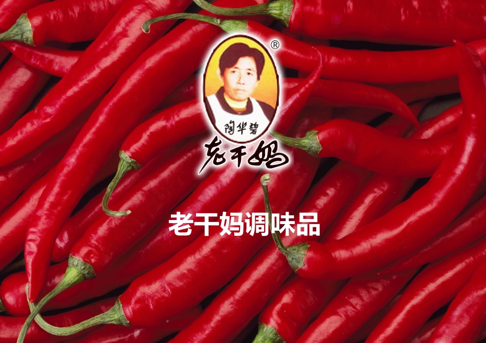 老干妈公司分析案例_第1页