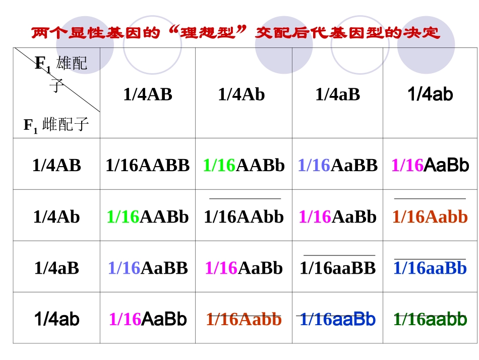 理想型横交固定概念具有优良性状的个体所谓理想_第2页