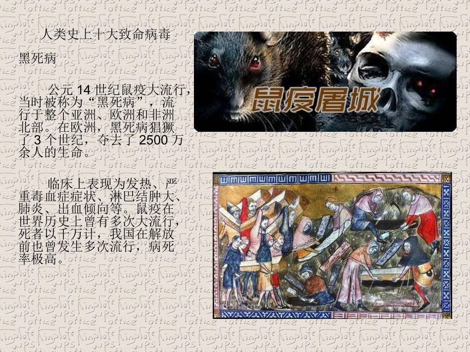 历史大病毒精_第1页