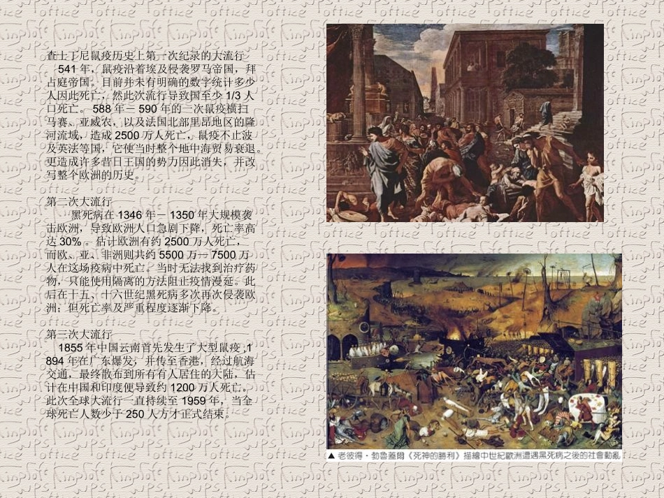 历史大病毒精_第2页