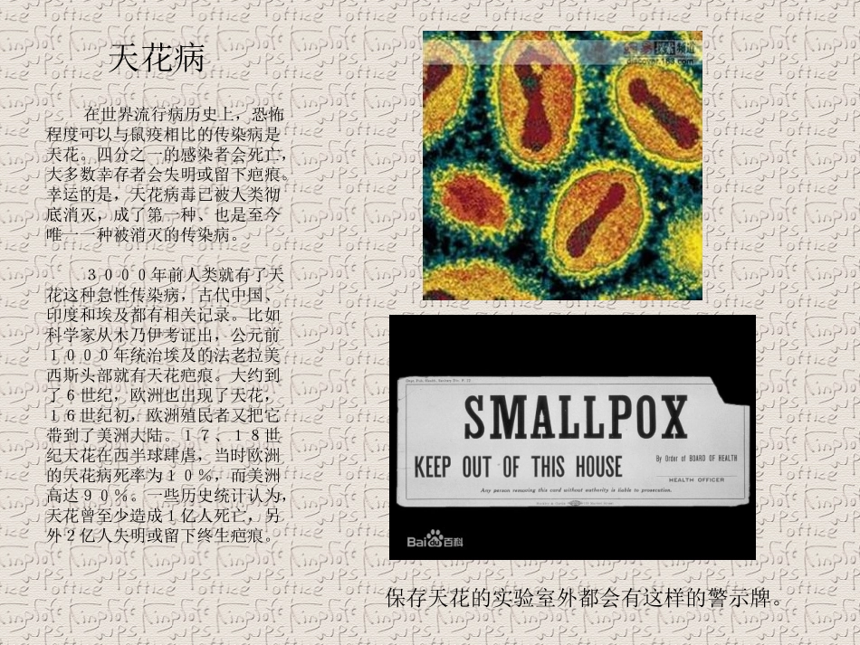 历史大病毒精_第3页