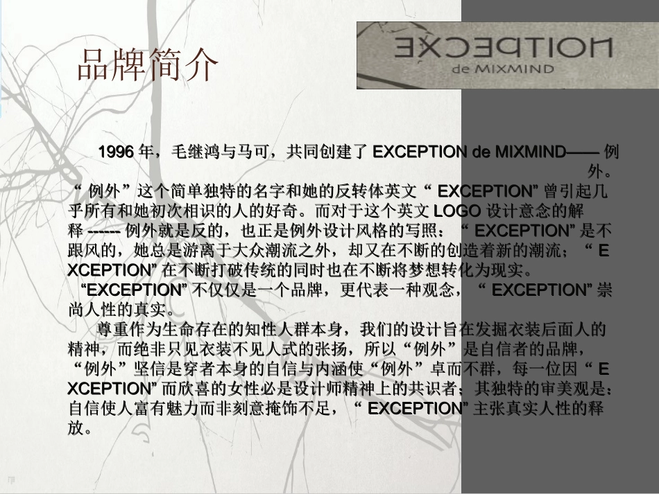 例外品牌调查报告_第2页